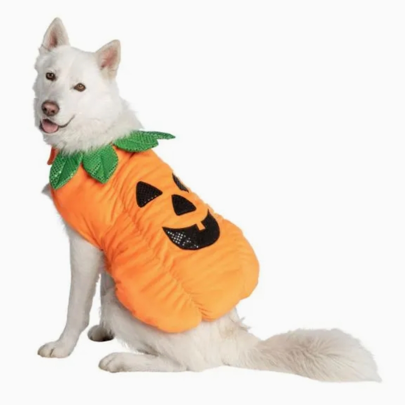 Disfraz de perro desmontable estilo calabaza naranja con collar de hoja verde